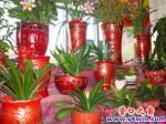 蓋州：龍年春來早，綠意蘊(yùn)生機(jī)