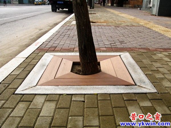 樹根加‘蓋板’是否多此一舉？