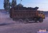 翻斗車1