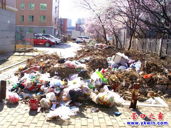 營口市渤海明珠小區(qū)B區(qū)美丑同現(xiàn)