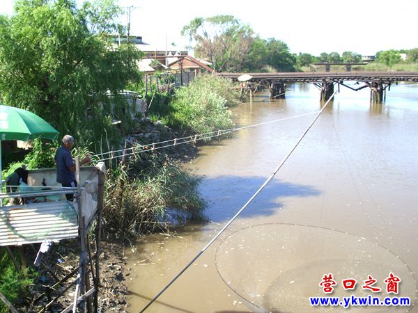 營(yíng)口一景：河邊搭臺(tái) 搬網(wǎng)撈魚