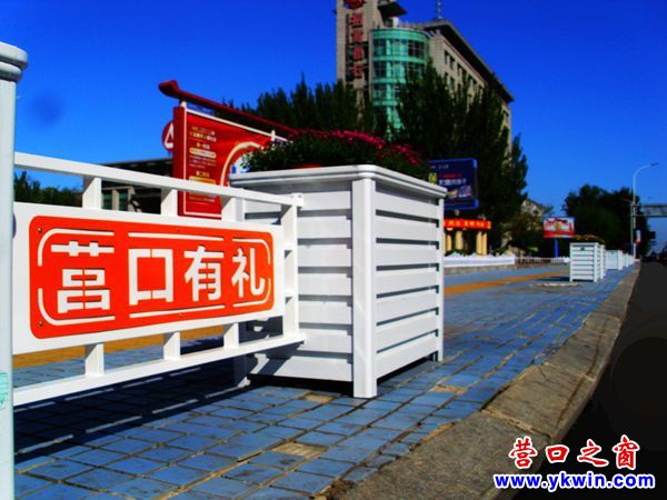 禿寶子蓋一隱身 “營”字成了四不像