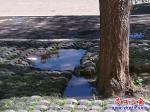 站前區：下水井蓋冒臟水 臭氣熏天誰來管？