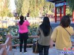 營口楞嚴寺公園：殘荷美如詩如畫