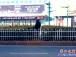 營口市：安上護欄，行人照樣橫穿市府路
