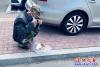 暖心！警車護送老人回家2